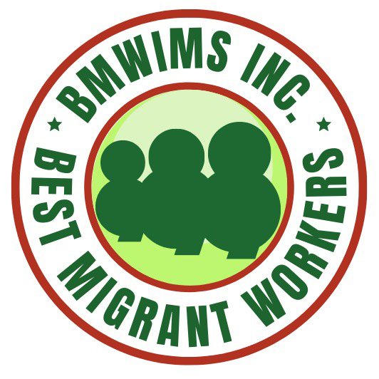 BMWIMS Logo